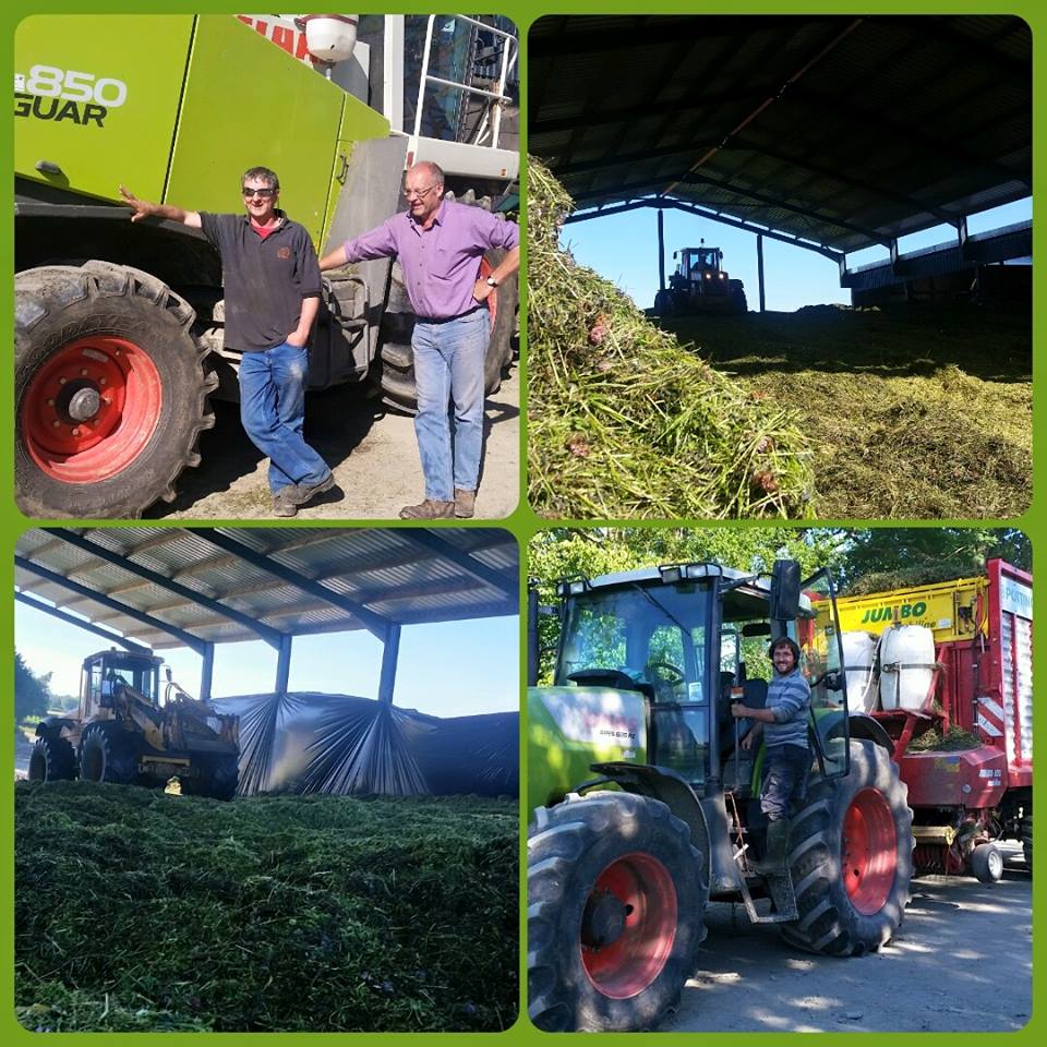 11825163_883605628376041_686545933289756811_n