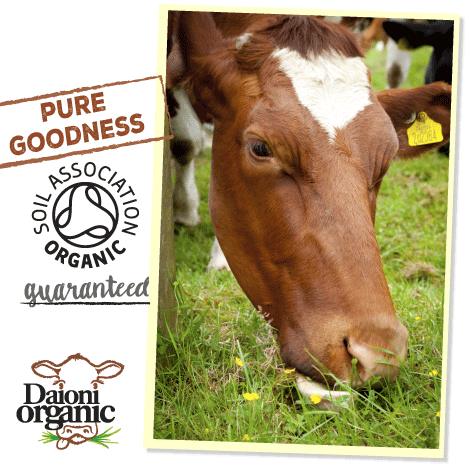 13939331_1293851943959630_6405548419785205310_n