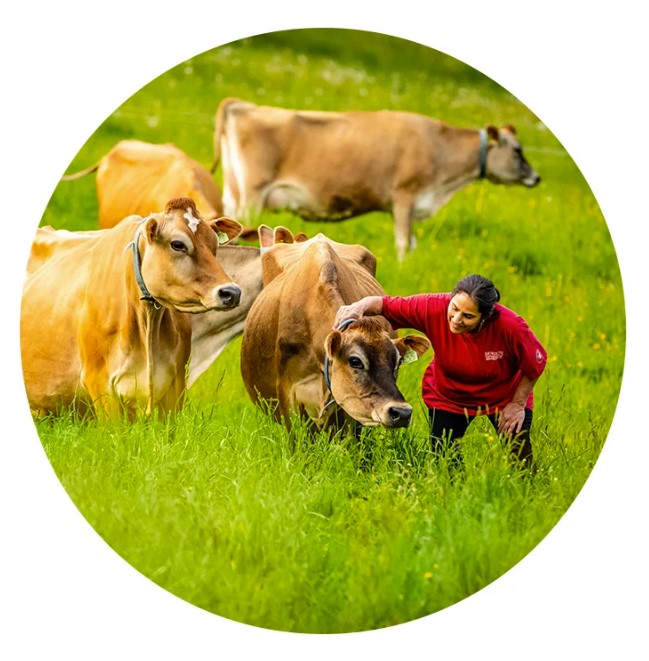 anh_chup_man_hinh_2022-08-01_094915-4